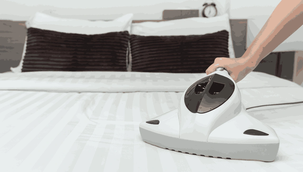 Professional Mattress Cleaning Clematis