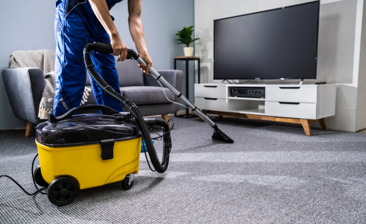 Extract Mattress Cleaning Clematis Contact Office